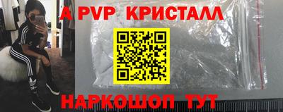 амф Гай