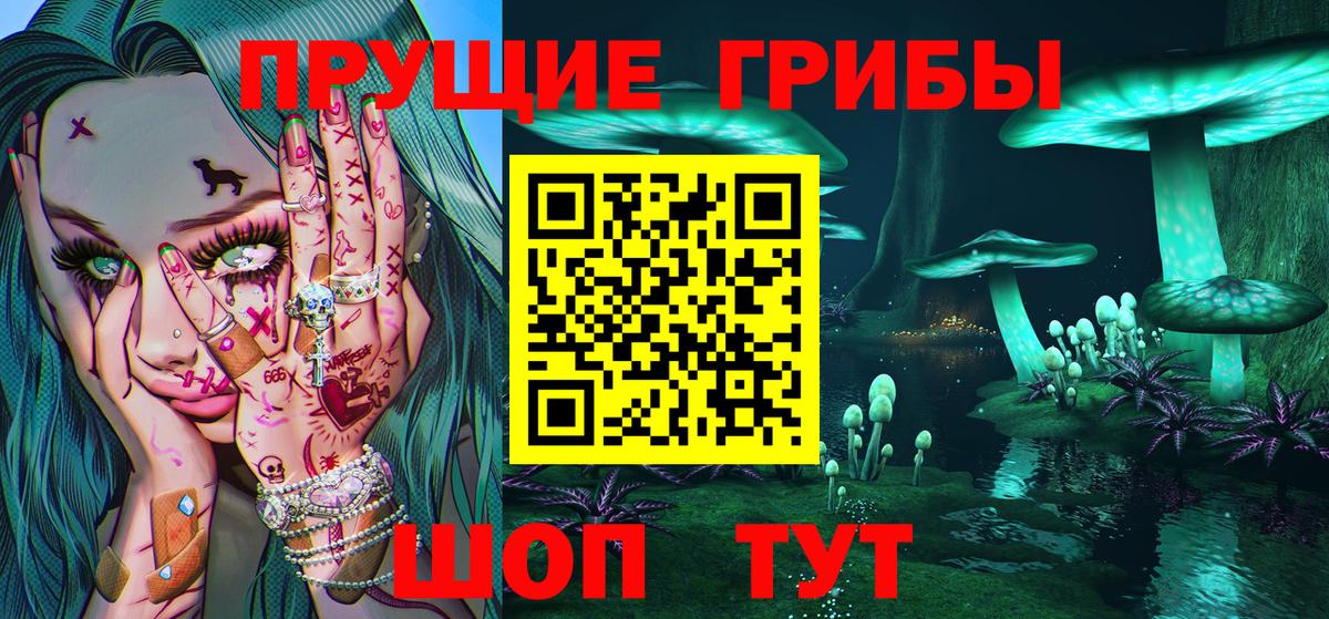 Галлюциногенные грибы Psilocybine cubensis Можайск